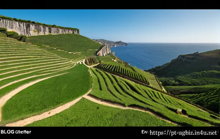 Empresas onde um gestor agrícola pode trabalhar: áreas, perfis e critérios para escolher 4 농업경영사로 진출 가능한 기업 목록 관련 이미지 2